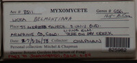 Image Associated With the Occurence